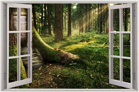 Discover the therapeutic benefits of Magic Window 4K